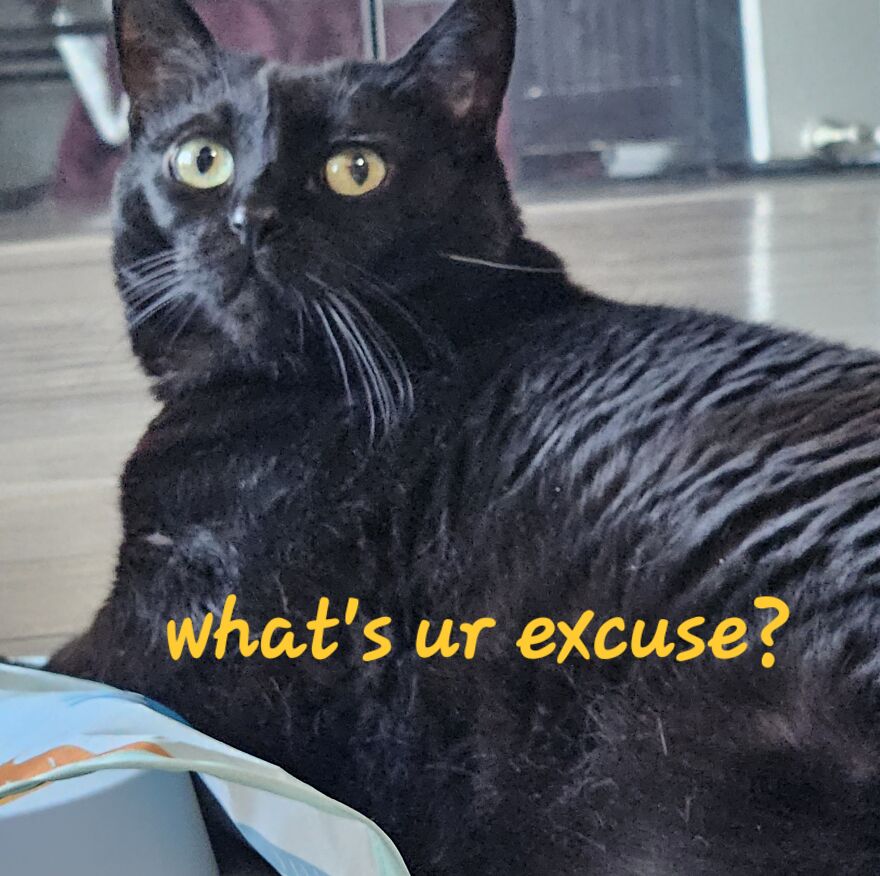 Sticks & Stones Sticks & Stones