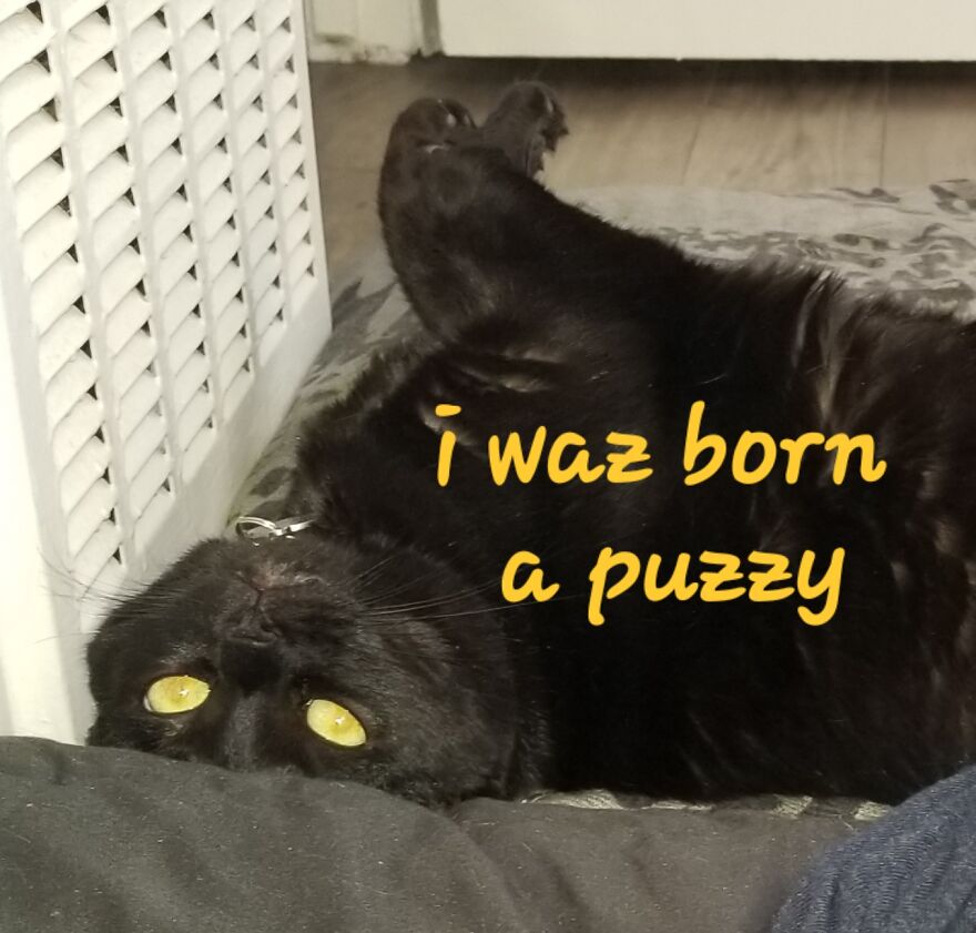 Sticks & Stones Sticks & Stones