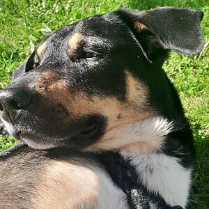 viktoriatatarek avatar