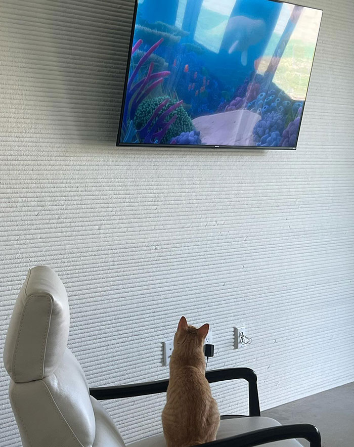 Woman Shares Pros And Cons Of Living Inside A Four-Bedroom 3D-Printed Home Woman Shares Pros And Cons Of Living Inside A Four-Bedroom 3D-Printed Home