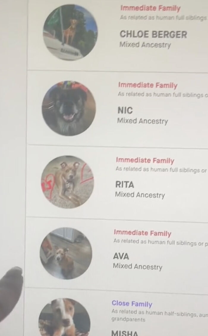 A Dog DNA Test Helps Woman Discover Her Mutt’s Entire Family Tree And She’s In Tears A Dog DNA Test Helps Woman Discover Her Mutt’s Entire Family Tree And She’s In Tears
