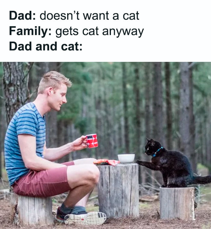 Just Dad And Kitty Having A Tea Party