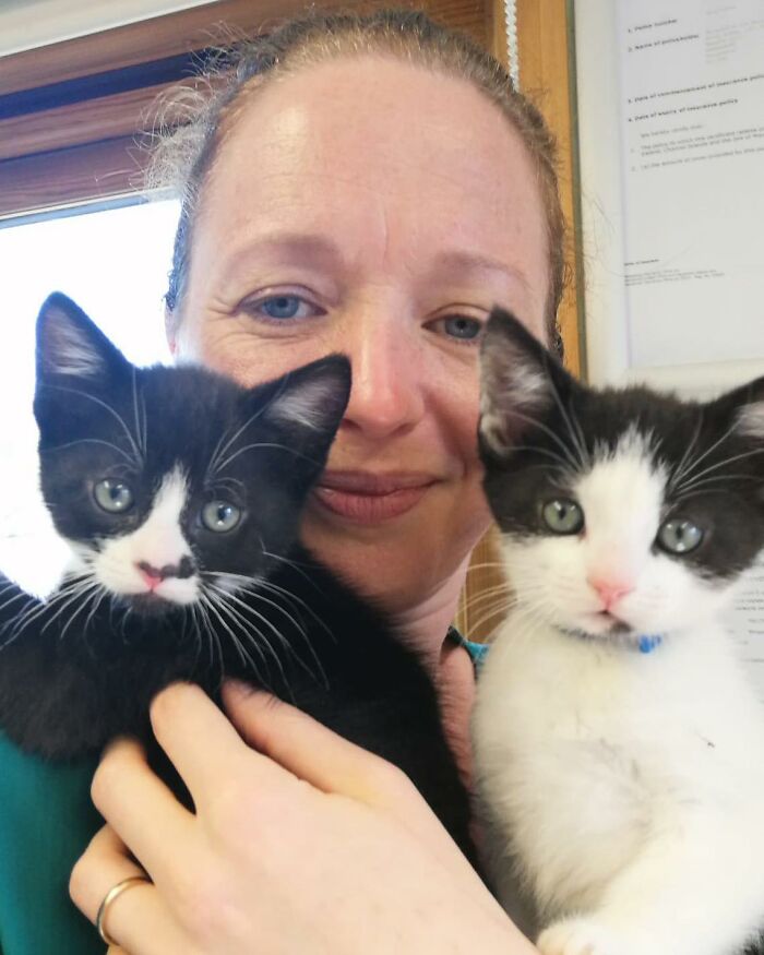 This Retirement Cat Village Has 17 Cats That Live Out Their Days In Mini Cottages This Retirement Cat Village Has 17 Cats That Live Out Their Days In Mini Cottages