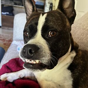 rebeccacoltun avatar