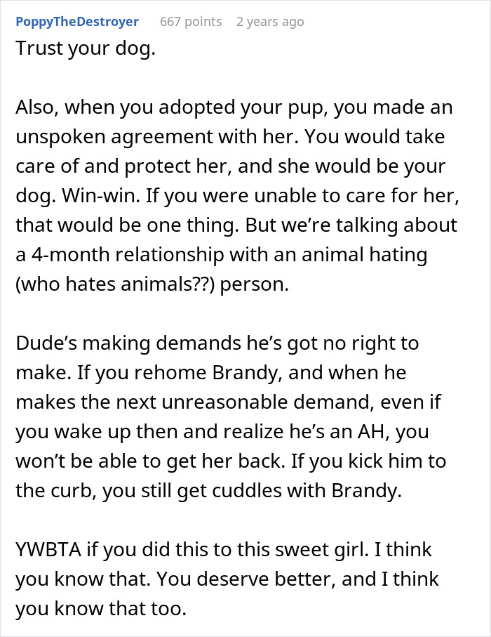 “Re-Home Her Or He’s Out”: Entitled BF Makes Demands About Woman’s Dog, Regrets It “Re-Home Her Or He’s Out”: Entitled BF Makes Demands About Woman’s Dog, Regrets It