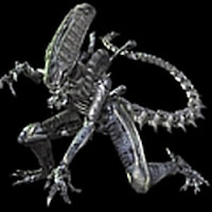 mortimerhobart avatar