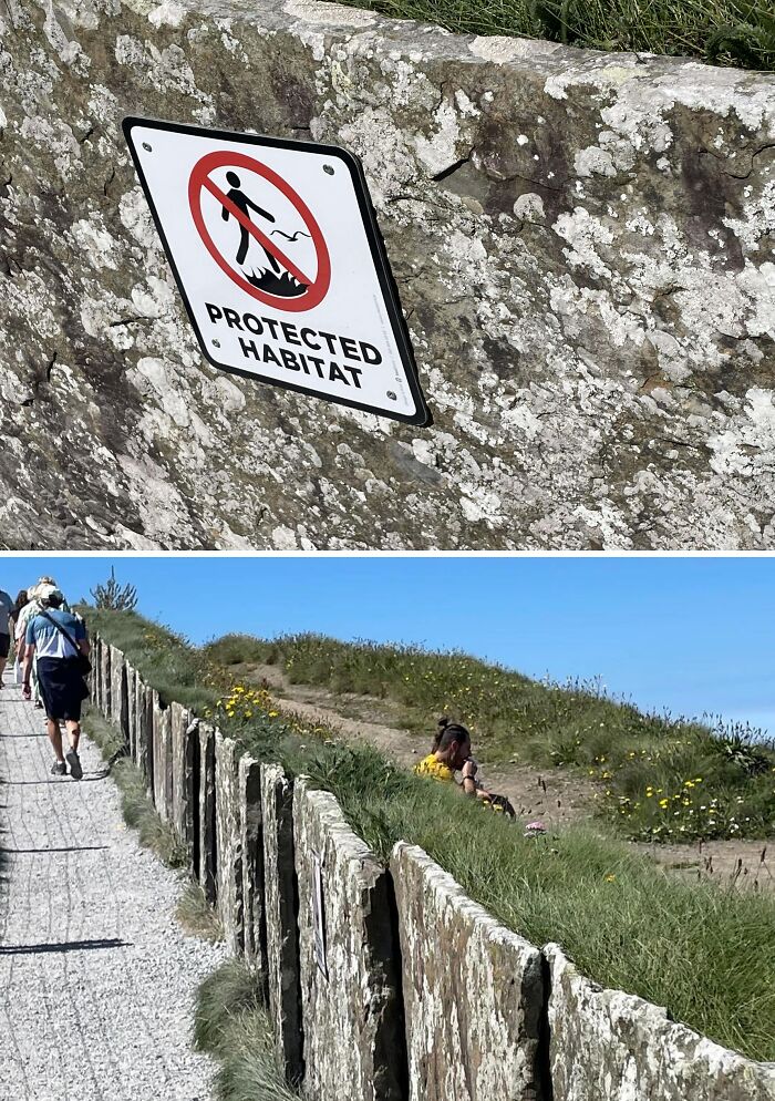 Entitled B***h Couple Enjoy Lunch Past Wall You’re Not Allowed To Cross (Also A Protected Habitat) At The Cliffs Of Moher
