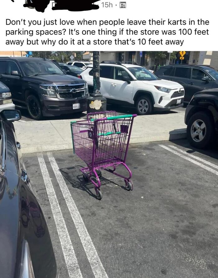 Entitled Humans That Don’t Put Away Their Shopping Carts