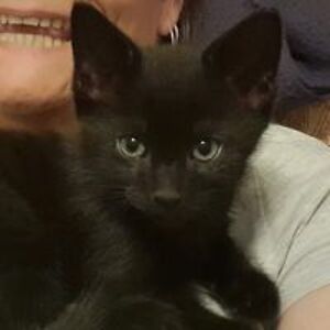 clare_valentine avatar