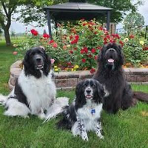 clifford_hudson avatar