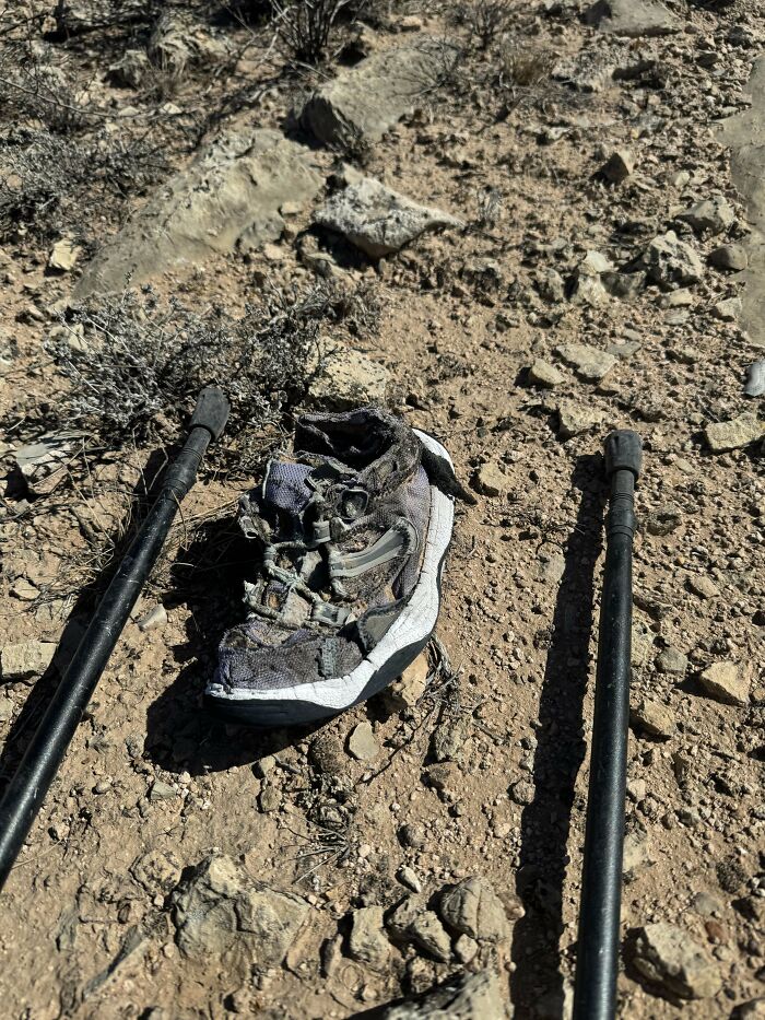 Found A Single, Chewed-Up Woman’s Shoe In The Middle Of The Desert