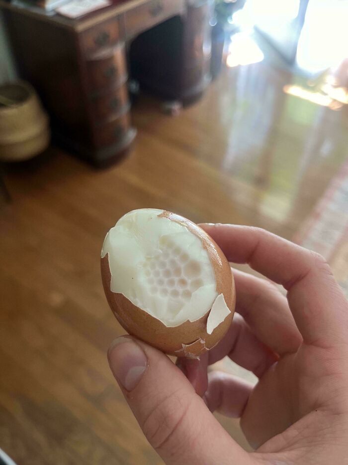 What Is Happening To This Egg?