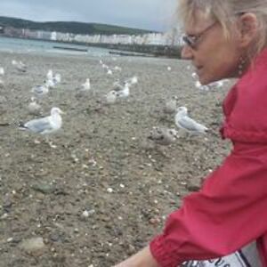 gloriaverelst avatar