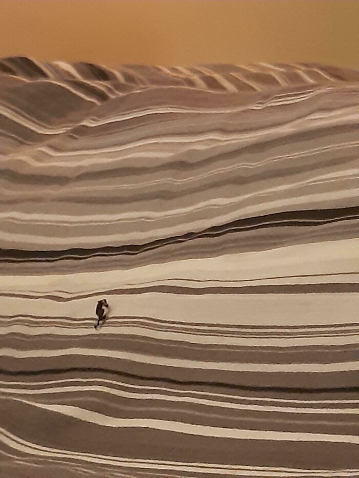 A Bit Of Fluff On My Blanket That Looks Like A Man Running Up A Hill