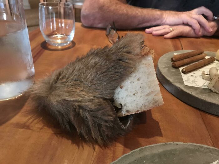 My Bread Served Inside Roadkill