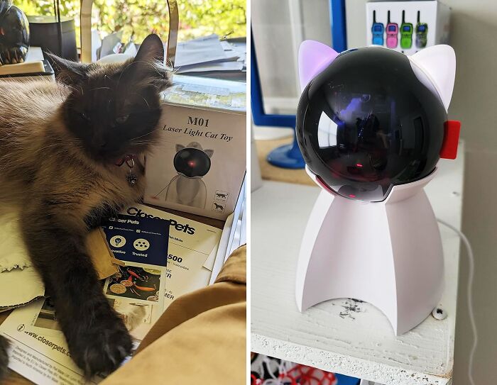 Unpredictable Fun Awaits! Valonii's Motion Activated Laser Toy Is The Buzz Every Cat Needs