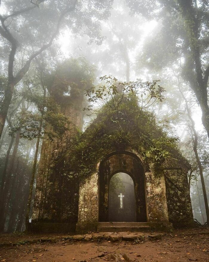 Abandoned Church In The Woods
