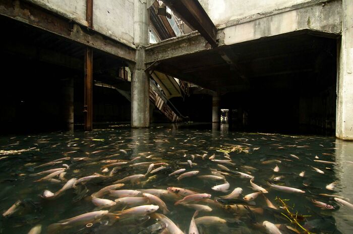 Abandoned Mall In Bangkok