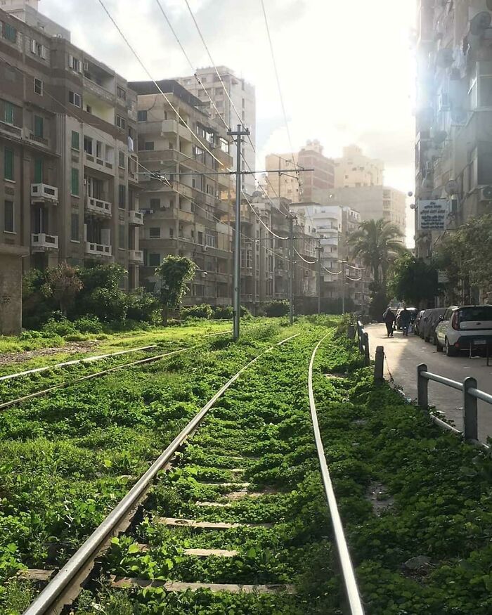 Abandoned Railway Tracks In Alexandria, Egypt