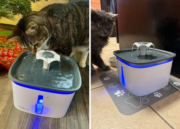  Automatic Pet Water Fountain Is The Splash Hit Your Fur Family Needs!