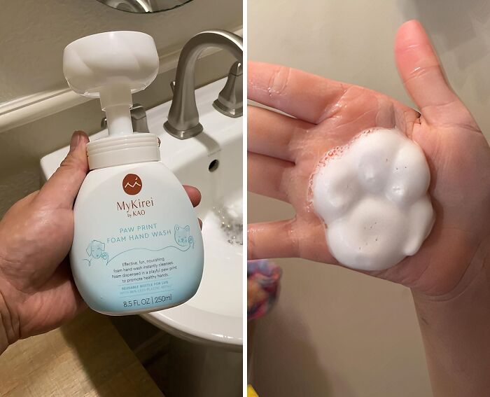 Keep Your Paws Clean With Paw Print, Sustainable Hand Soap!