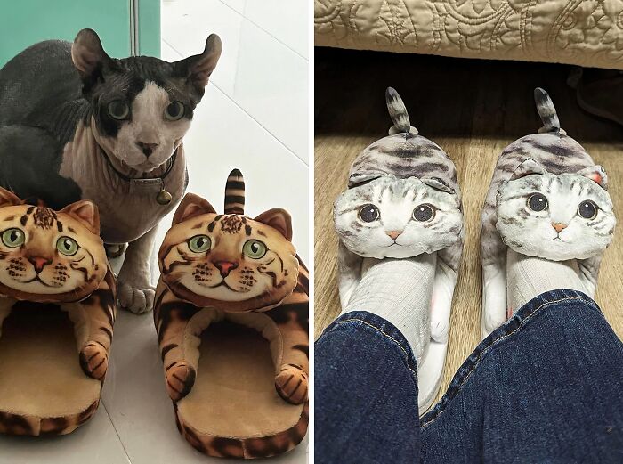Gift Coziness To Your Favourite Cat Person With Cute And Fun Looking Cat Slippers 