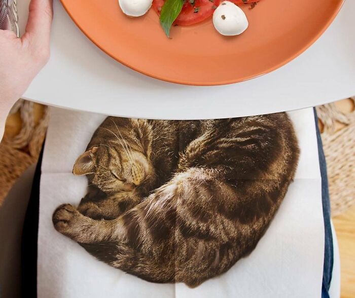 Catify Your Table Setting With These Must-Have Cute Cat Photo Napkins!