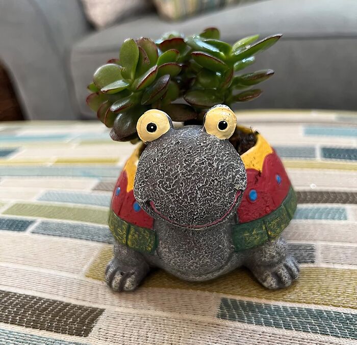 Upgrade Your Office With The Turtle Plant Pot