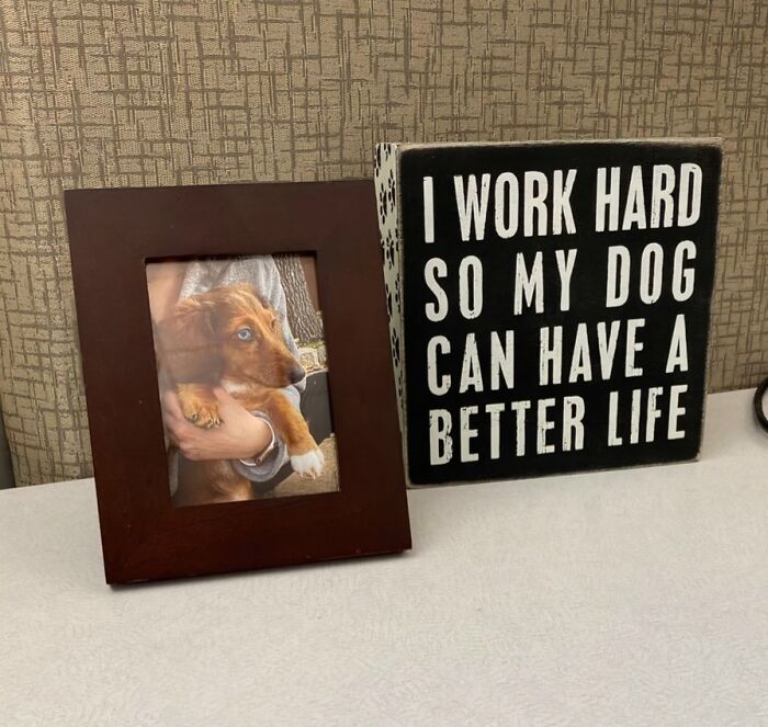 Infuse Your Office With Charm Using The Cute Box Sign – Addition That'll Make You Smile Every Time You Glance At It