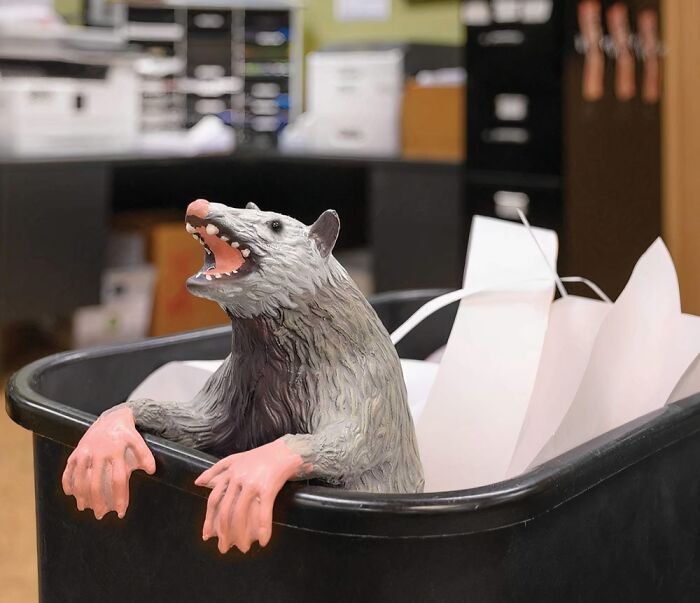  The Office Possum - Bringing Quirkiness And Charm To Your Workspace