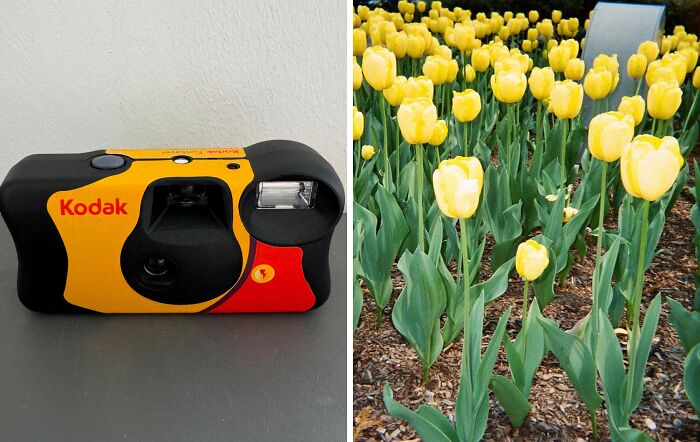 What A Throwback! This Disposable Camera With A Flash Will Be Your New Favorite Toy As You Snap Some Flowery Moments