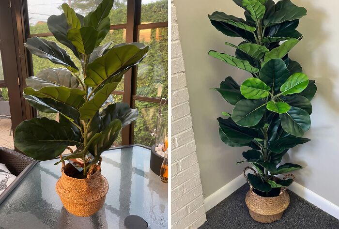 Not Everyone Is Blessed With A Green Thumb So No Shade To You If You Have To Opt For This Artificial Fiddle Leaf Fig Plant