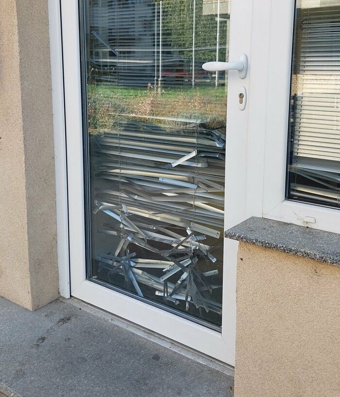 Veterinarian Clinic's Entrance Door