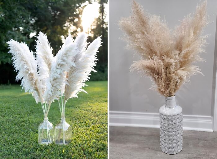 Can You Even Call Yourself A Boho Girlie If You Don’t Have A Bushel Of Pampas Grass In A Corner?
