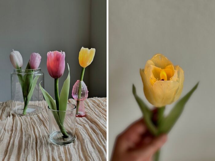 These Delicate Beeswax Tulip Candles Will Have You Saying ‘Amster-Damn That’s Beautiful!’