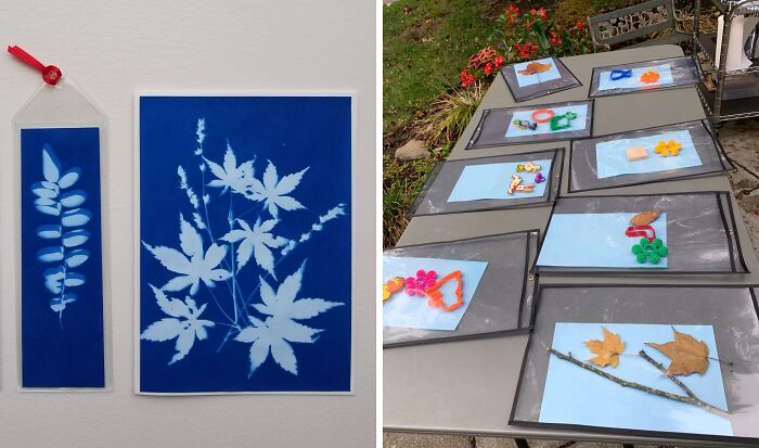  A Sunprint Paper Kit Isn’t Just A Pre-K Favorite. You Can Make Some Fabulous Art If You Think Outside The Box!