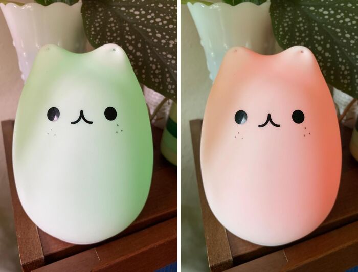 This Adorable Cat Lamp Is Sure To Light Up Their Life