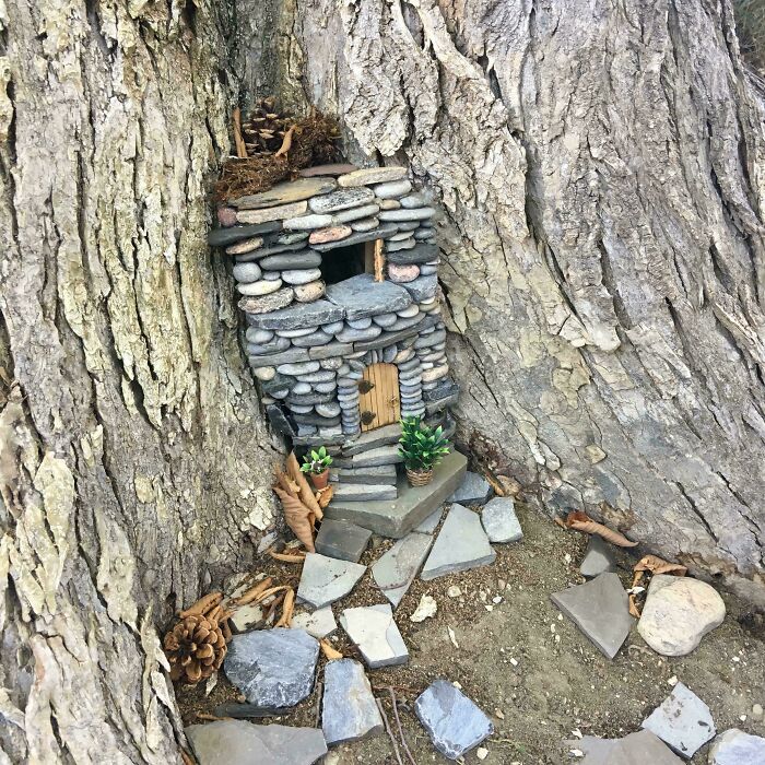 My Neighbor Built This Treehouse