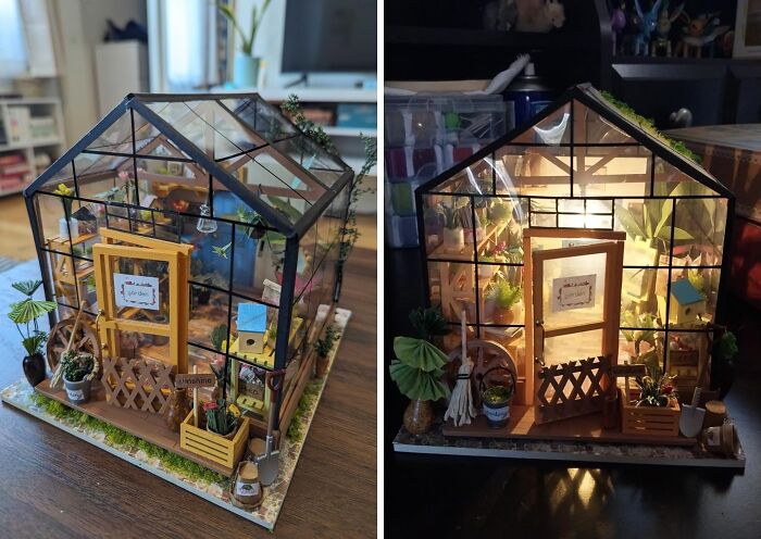 This Miniature Greenhouse Building Kit Is Perfect For The Person With Big DIY Dreams But Zero Skill