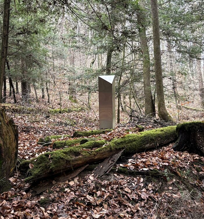 Metal Obelisk Found In The Middle Of The Woods