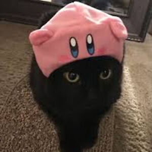 delaynawagner avatar