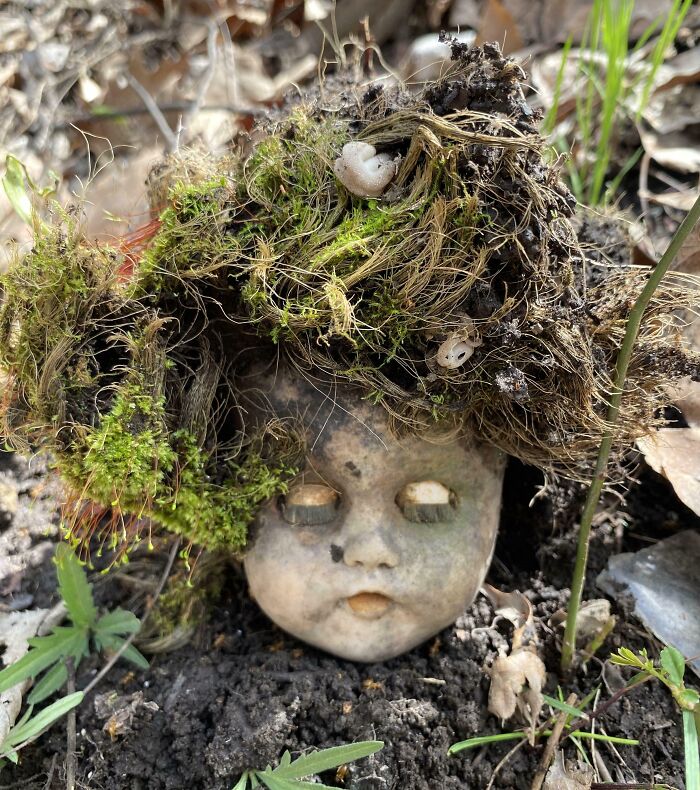 Doll Head Found In Woods
