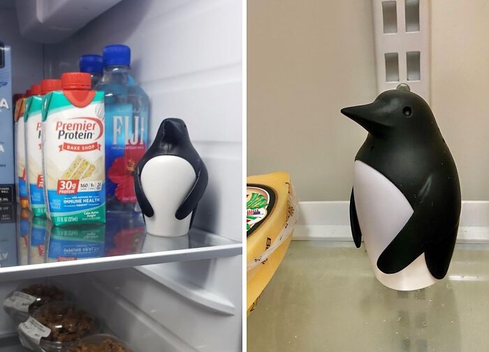 If You Struggle With A Smelly Fridge, This Chill Bill Refrigerator Deodorizer Is A God Scent! 