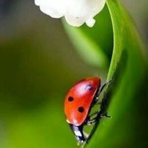 mom2joshntess avatar