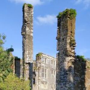 throughfireandflames avatar