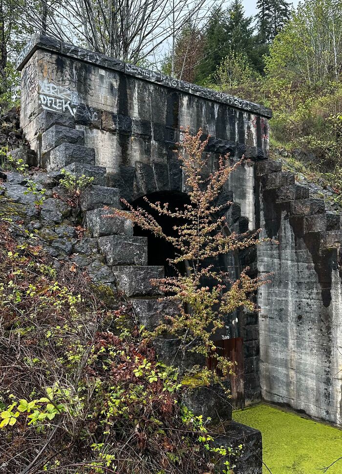 Abandoned Rail Tunnel. Willamette National Forest, Oregon