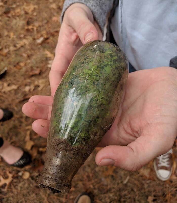 My Girlfriend Found A Bottle In The Woods That Had A Terrarium Growing Naturally Inside
