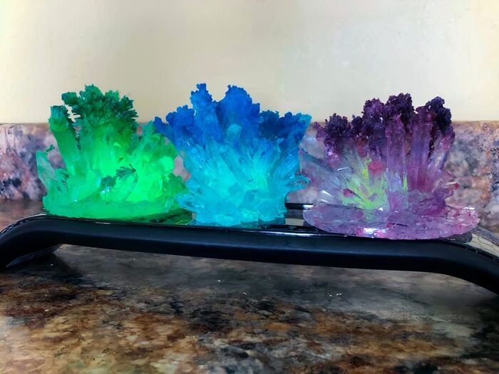A Crystal Growing Kit Serves Up Equal Parts Magic And Science