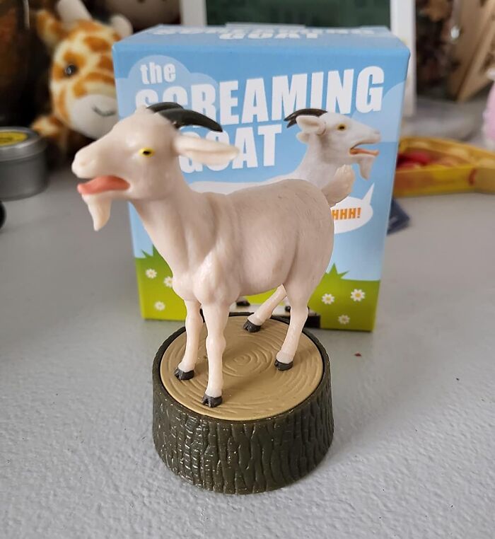  The Screaming Goat : A Screaming Kid For A Screaming Kid