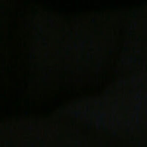 ivettepomales avatar